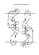 Konspekts 'Stafete sportam', 4.
