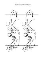 Konspekts 'Stafete sportam', 5.