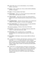 Konspekts 'Galvenais privātajās tiesībās', 5.