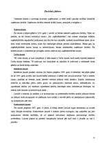 Referāts 'Praktiskais darbs tirgzinībās. A/s "Dzintars"', 13.