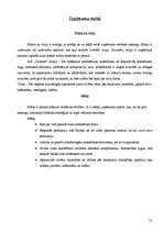 Referāts 'Praktiskais darbs tirgzinībās. A/s "Dzintars"', 21.