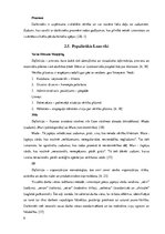 Referāts 'Taupīgas ražošanas (Lean) principi uzņēmumā "FedEx"', 9.