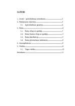 Referāts 'Riska veidi, klasifikācija, funkcijas ', 1.