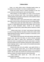 Referāts 'Vadīšanas kultūra', 2.