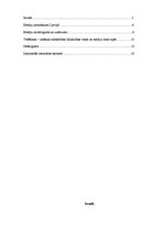 Referāts 'Mediju ietekme Latvijas politiskajā dzīvē', 2.