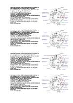 Konspekts 'Šūna', 1.