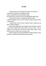 Referāts 'Vadītāja profesionālā etiķete', 3.