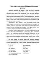 Referāts 'Vadītāja profesionālā etiķete', 10.