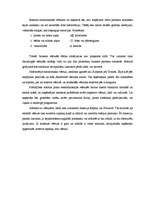 Referāts 'Vadītāja profesionālā etiķete', 11.