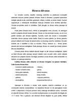 Referāts 'Vadītāja profesionālā etiķete', 13.