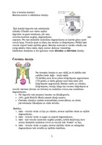 Referāts 'Benzīna dzinēji', 4.