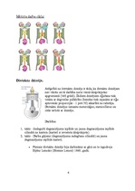 Referāts 'Benzīna dzinēji', 5.