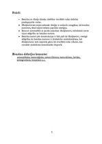 Referāts 'Benzīna dzinēji', 6.