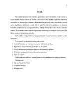 Referāts 'Starptautiskās muitas konvencijas', 3.