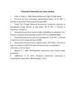 Referāts 'Starptautiskās muitas konvencijas', 16.