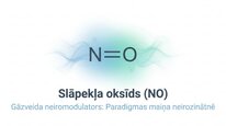 Prezentācija 'Slāpekļa oksīds', 1.