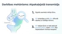 Prezentācija 'Slāpekļa oksīds', 5.