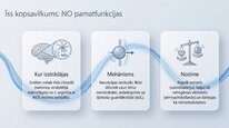 Prezentācija 'Slāpekļa oksīds', 13.