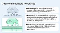 Prezentācija 'Slāpekļa oksīds', 17.