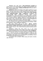 Konspekts 'Žils Verns', 4.