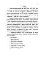 Referāts 'SIA "Ronor" gada pārskata analīze', 3.