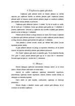 Referāts 'SIA "Ronor" gada pārskata analīze', 7.