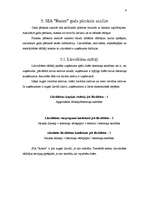 Referāts 'SIA "Ronor" gada pārskata analīze', 9.