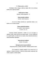 Referāts 'SIA "Ronor" gada pārskata analīze', 10.