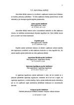 Referāts 'SIA "Ronor" gada pārskata analīze', 11.