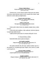 Referāts 'SIA "Ronor" gada pārskata analīze', 12.