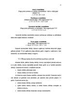 Referāts 'SIA "Ronor" gada pārskata analīze', 13.