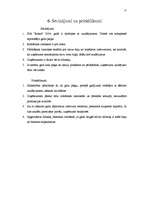 Referāts 'SIA "Ronor" gada pārskata analīze', 17.