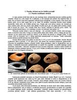 Referāts 'Naudas būtība', 4.