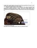 Referāts 'Naudas būtība', 8.