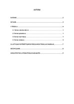 Referāts 'Tekila, tās gatavošana un lietošana, sajaukšana ar citiem dzērieniem', 2.