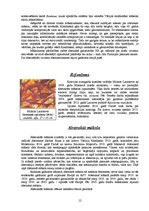 Referāts '20.gadsimta māksla pasaulē un Latvijā', 25.