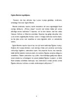 Referāts 'Senās Ēģiptes arheoloģiskā izpēte', 8.