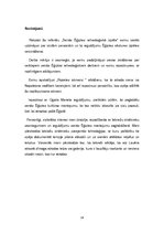 Referāts 'Senās Ēģiptes arheoloģiskā izpēte', 16.