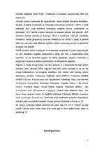 Referāts 'Pelēkā literatūra - jēdziena attīstība un izpratne', 7.