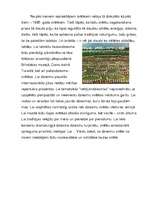 Referāts 'Vispārējie latviešu dziesmu svētki', 11.