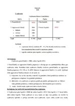 Paraugs 'Uzņēmuma līdzekļu un tā avotu struktūras aprēķināšana. Kredīta apmaksas grafika ', 2.