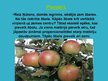 Prezentācija 'Gravitācija', 7.