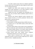 Referāts 'Latvijas tiesu iestāžu funkcijas', 16.