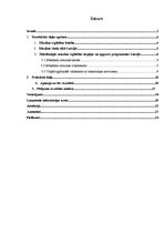 Referāts 'Mūsdienu mūzikas izglītības iespējas', 2.