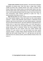 Referāts 'Mūsdienu mūzikas izglītības iespējas', 8.