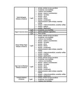 Referāts 'Mūsdienu mūzikas izglītības iespējas', 25.