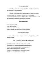 Konspekts 'Ziņu saturs', 2.