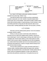 Referāts 'Vardarbības cēloņi pusaudžu vidū X pilsētas izglītības iestādēs ', 15.