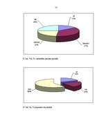 Referāts 'Vardarbības cēloņi pusaudžu vidū X pilsētas izglītības iestādēs ', 32.