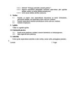 Paraugs 'Lietveža amata apraksts', 2.